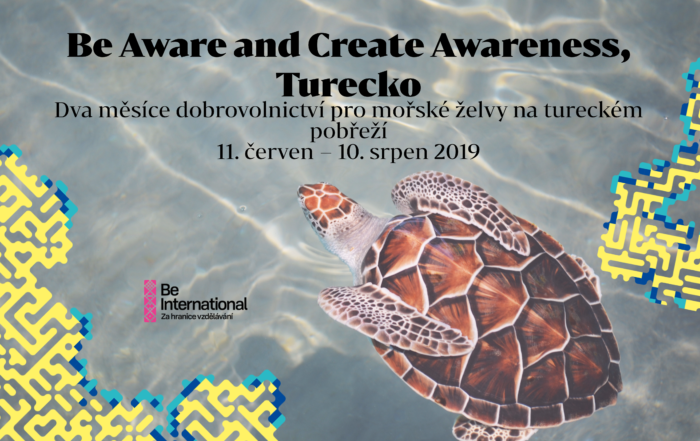 Dva měsíce dobrovolnictví pro mořské želvy na tureckém pobřeží