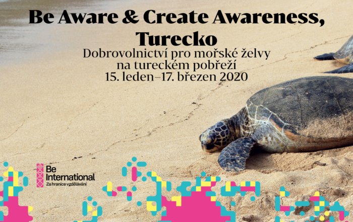 Dva měsíce dobrovolnictví pro mořské želvy na tureckém pobřeží