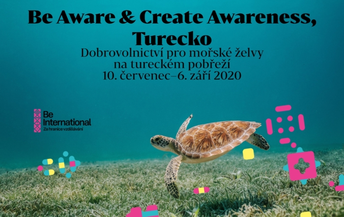 Turecko, mořské želvy a dva měsíce dobrovolnictví